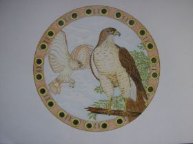 Image14.jpg